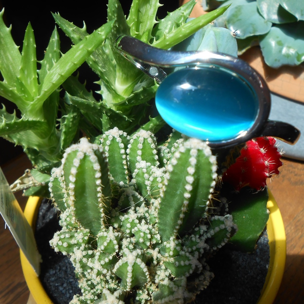 Magnetic Oval Cats Eye Cuff Bracelet